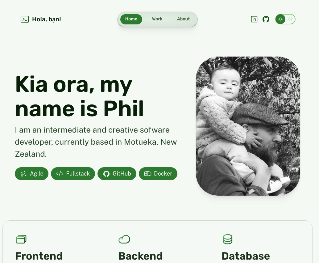 screenshot of the portfolio page